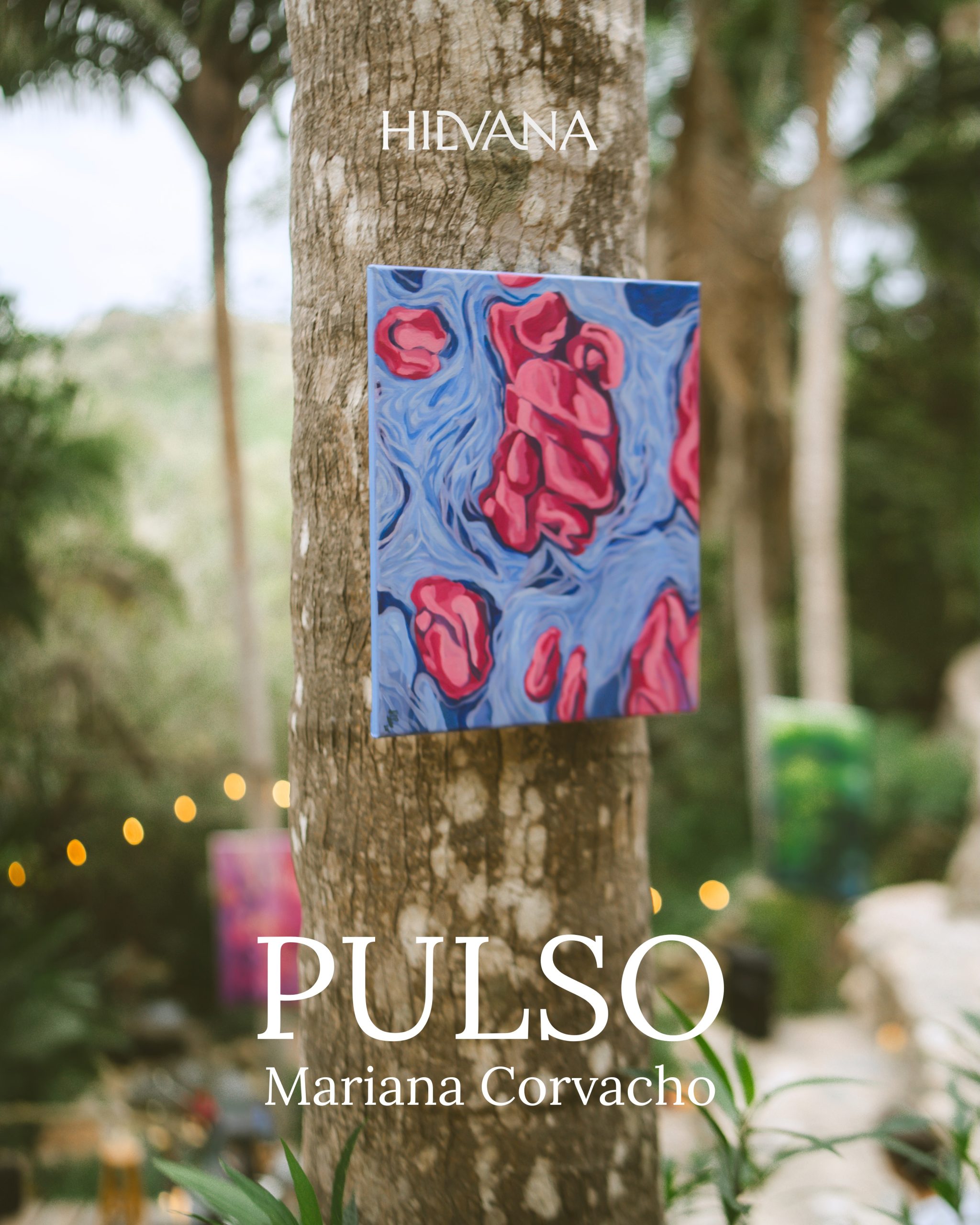 PULSO · vista 1